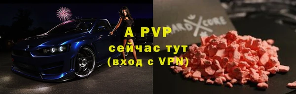 шишки Белокуриха