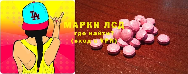 шишки Белокуриха