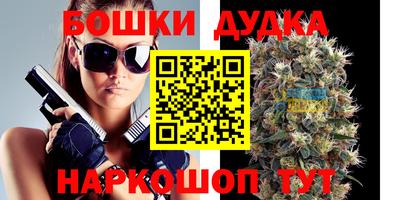 мдпв Партизанск