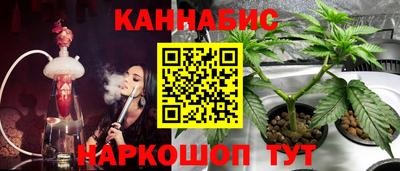 мдпв Партизанск