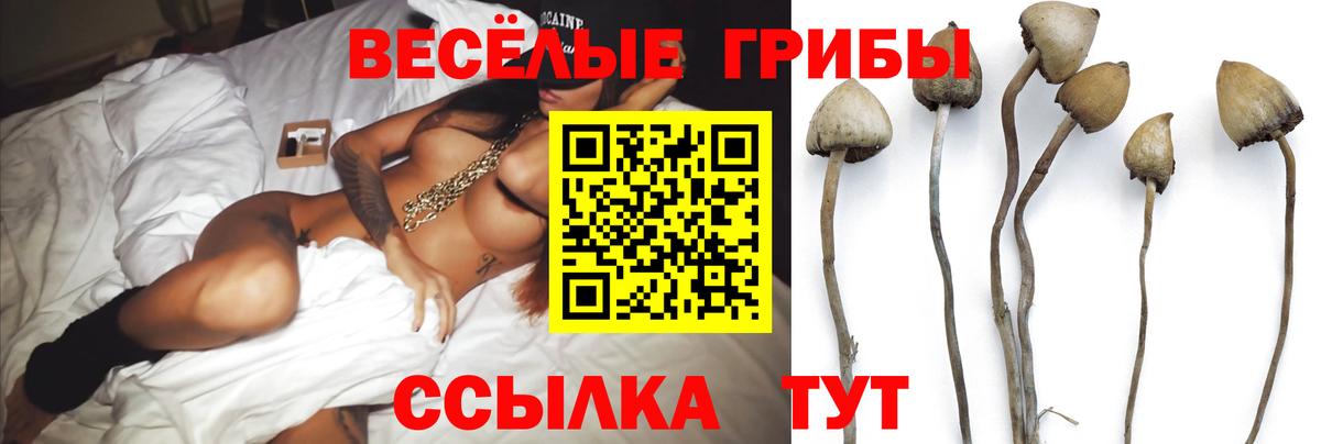 Галлюциногенные грибы Cubensis Реутов